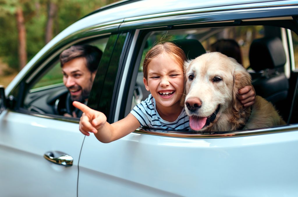 roztomilé dievčatko cestuje s otcom a psom v aute